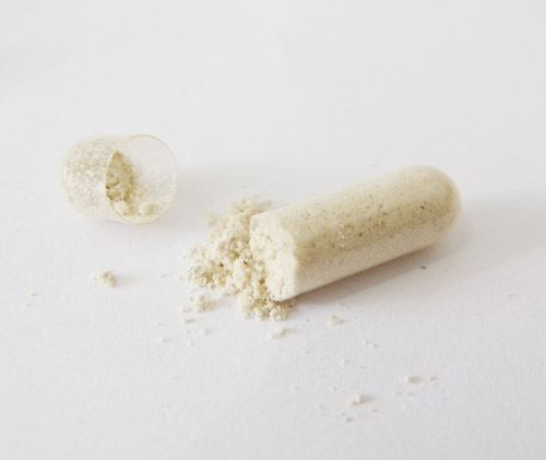 Product appearance of a white mycelium